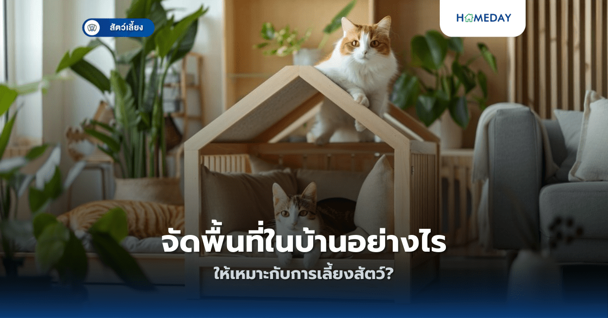 จัดพื้นที่ในบ้านอย่างไรให้เหมาะกับการเลี้ยงสัตว์?