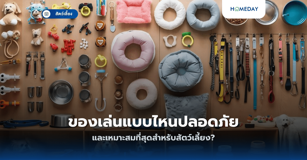 ของเล่นแบบไหนปลอดภัยและเหมาะสมที่สุดสำหรับสัตว์เลี้ยง?