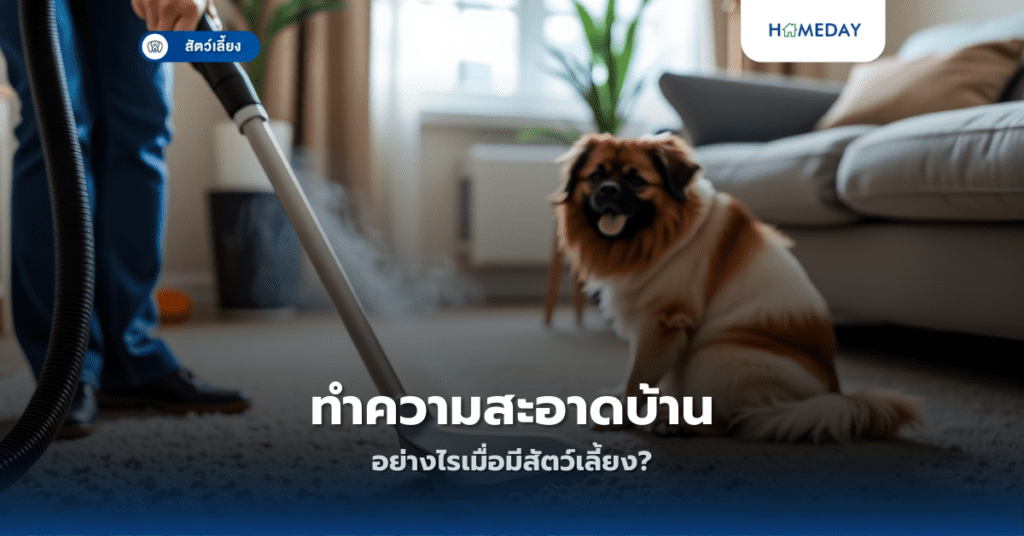 ทำความสะอาดบ้านอย่างไรเมื่อมีสัตว์เลี้ยง?