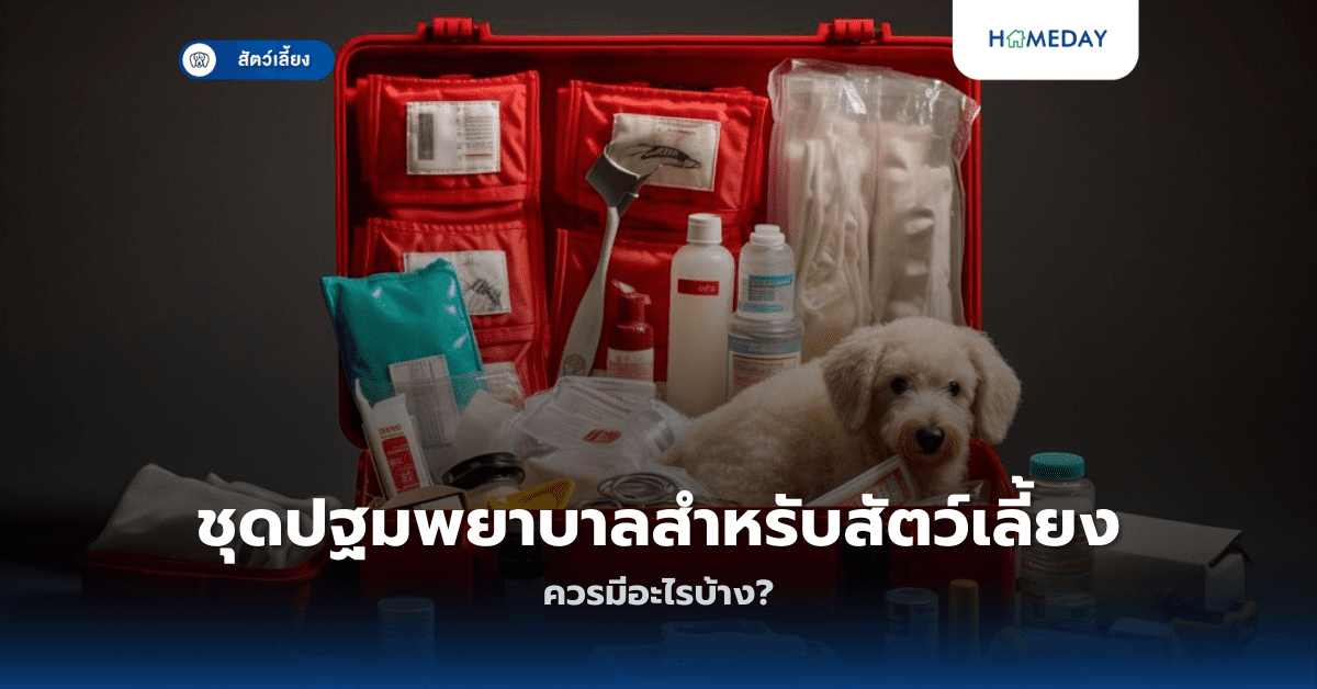 ชุดปฐมพยาบาลสำหรับสัตว์เลี้ยงควรมีอะไรบ้าง?