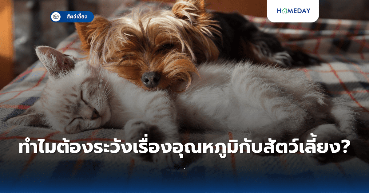 วิธีป้องกันโรคผิวหนังในหน้าฝนทำอย่างไร? (copy)