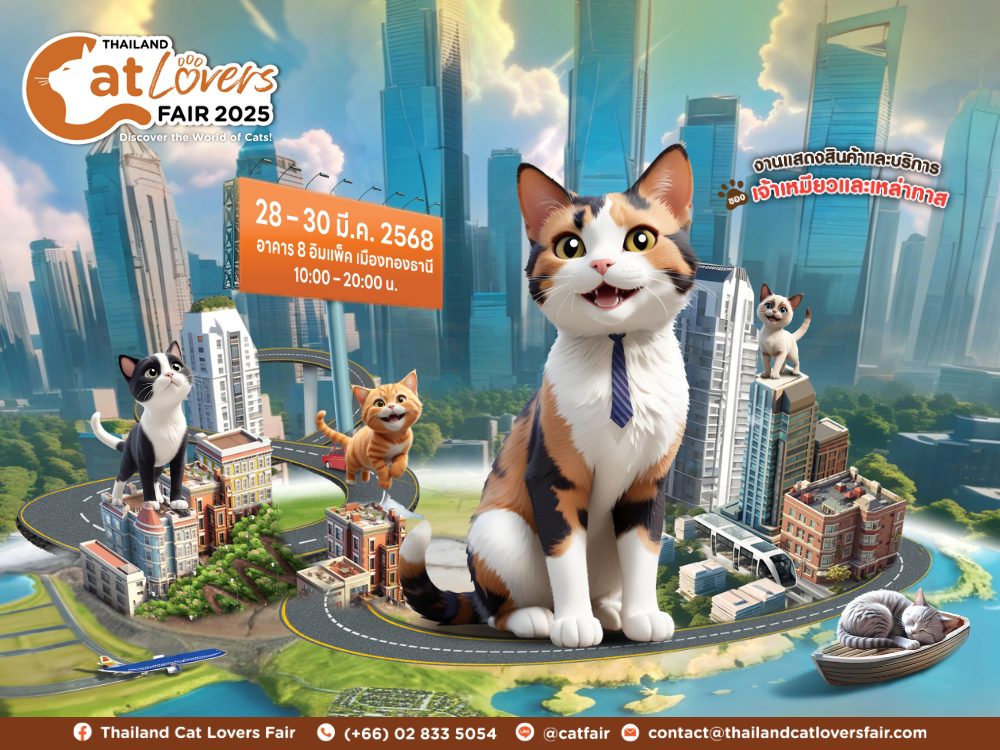 ทาสแมวเตรียมตัวให้พร้อม! พบกันที่งาน Thailand Cat Lovers Fair 2025 28-30 มีนาคมนี้ พบความสนุกและน่ารัก เต็มพื้นที่ฮอลล์ 8 อิมแพค เมืองทองธานี