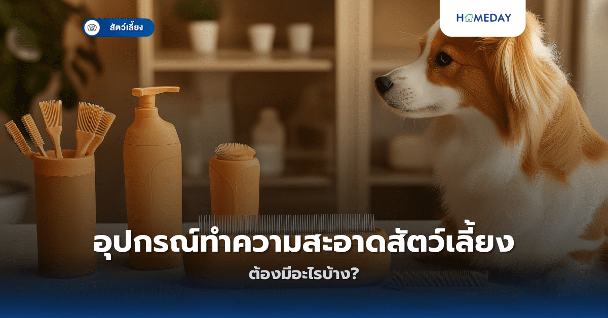 อุปกรณ์ทำความสะอาดสัตว์เลี้ยงต้องมีอะไรบ้าง?