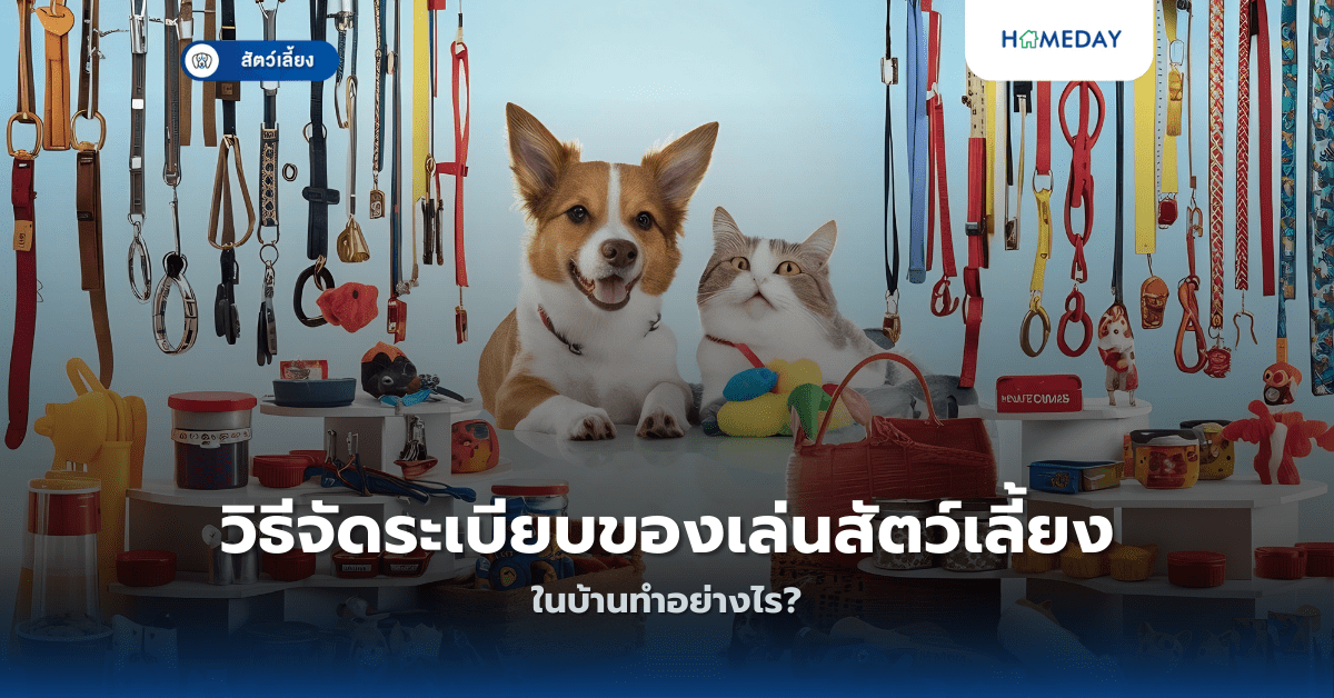 วิธีสร้างความเชื่อมั่นให้สัตว์เลี้ยงขี้อายทำอย่างไร? (copy)