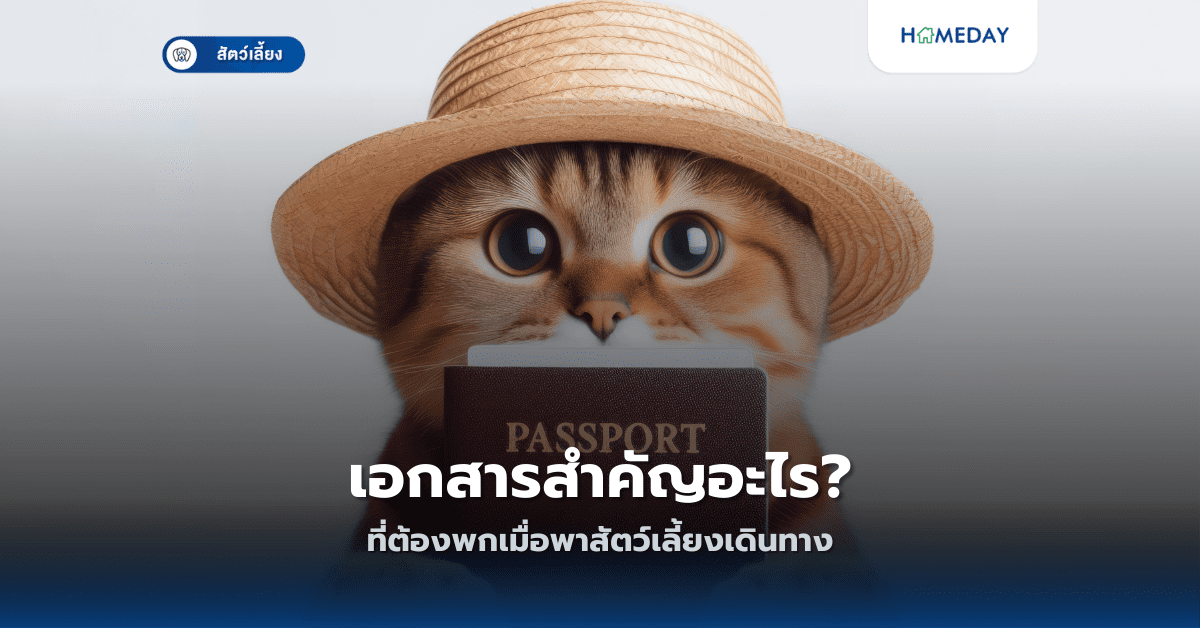 เอกสารสำคัญอะไร ที่ต้องพกเมื่อพาสัตว์เลี้ยงเดินทาง?