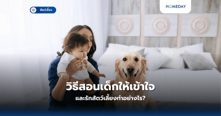 วิธีสอนเด็กให้เข้าใจและรักสัตว์เลี้ยงทำอย่างไร?