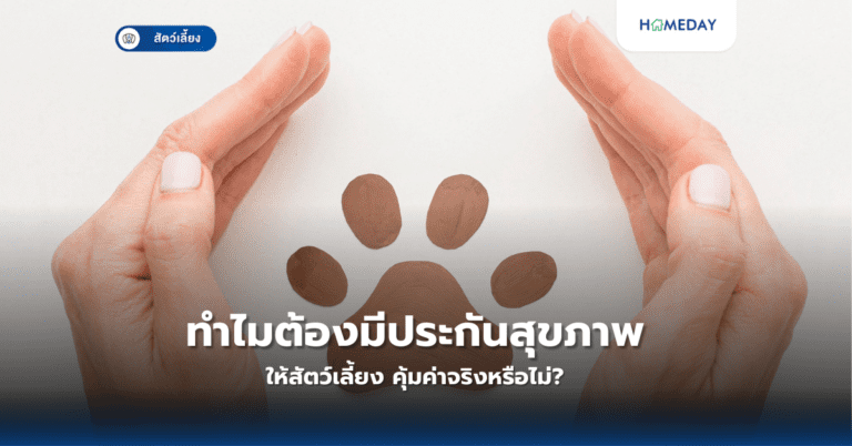 ทำไมต้องมีประกันสุขภาพให้สัตว์เลี้ยง คุ้มค่าจริงหรือไม่?