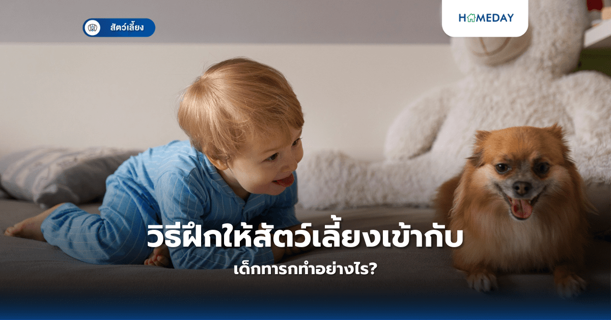 วิธีฝึกให้สัตว์เลี้ยงเข้ากับเด็กทารกทำอย่างไร?