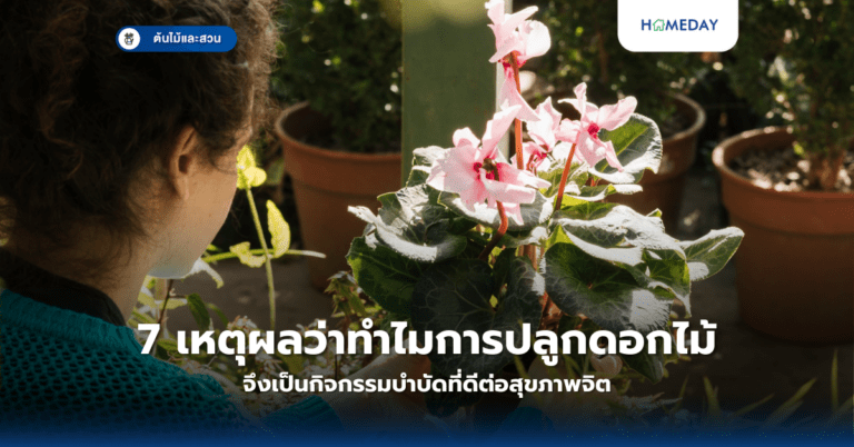 7 เหตุผลว่าทำไมการปลูกดอกไม้จึงเป็นกิจกรรมบำบัดที่ดีต่อสุขภาพจิต