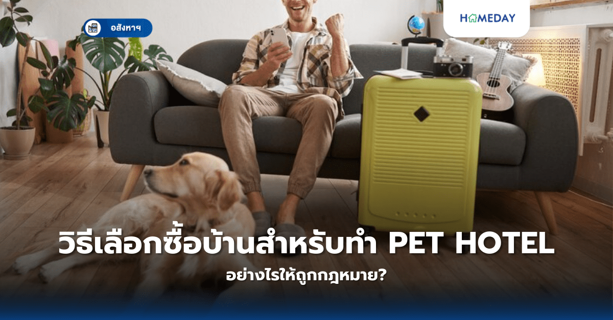 วิธีเลือกซื้อบ้านสำหรับทำ Pet Hotel อย่างไรให้ถูกกฎหมาย?