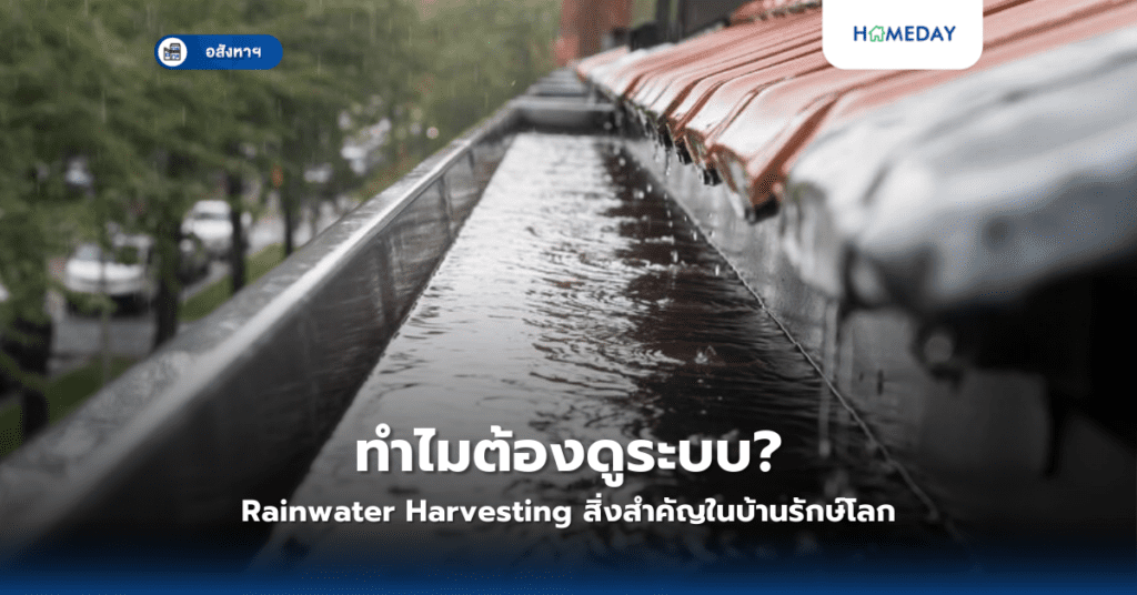 ทำไมต้องดูระบบ Energy Storage? สิ่งสำคัญในบ้านพลังงานทางเลือก (copy)