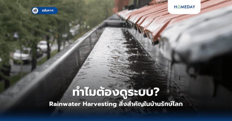 ทำไมต้องดูระบบ Energy Storage? สิ่งสำคัญในบ้านพลังงานทางเลือก (copy)