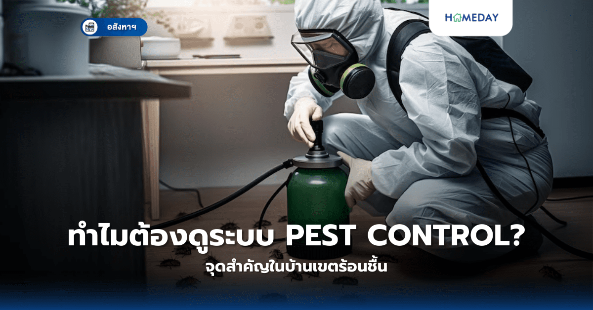 ทำไมต้องดูระบบ Pest Control? จุดสำคัญในบ้านเขตร้อนชื้น