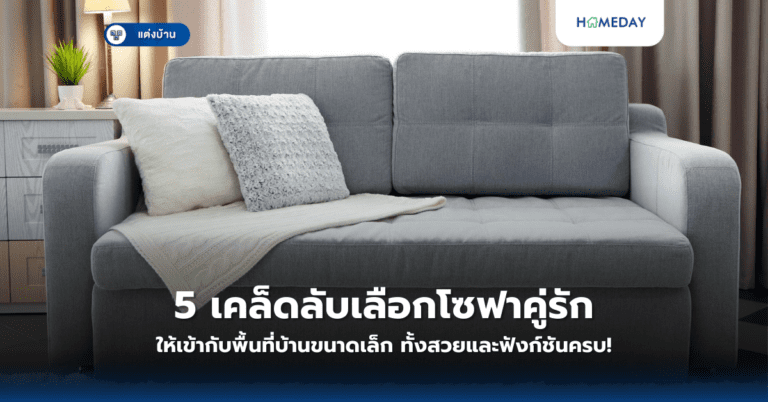 5 เคล็ดลับเลือกโซฟาคู่รักให้เข้ากับพื้นที่บ้านขนาดเล็ก ทั้งสวยและฟังก์ชันครบ!