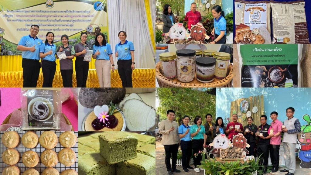 กรมวิชาการเกษตร ลุยถ่ายทอดเทคโนโลยีผลิตผลิตภัณฑ์แปรรูปจากมันจาวมะพร้าว สู่การผลิตเชิงพาณิชย์ ตั้งเป้าบุกตลาดพรีเมียมภายใต้แบรนด์สินค้าชุมชน