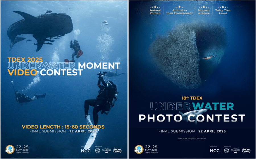 เปิดเลนส์สู่โลกใต้ทะเล ในกิจกรรมประกวดภาพถ่าย 18th TDEX UNDERWATER PHOTO & 2nd TDEX UNDERWATER MOMENT VIDEO CONTEST! ชิงรางวัลกว่า 400,000 บาท