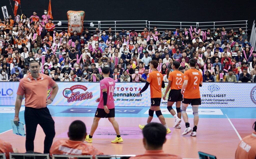 วุ้นเส้นต้นสน (5)