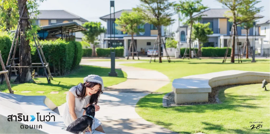 สารินโนว่าดอนแคz Z874196613016