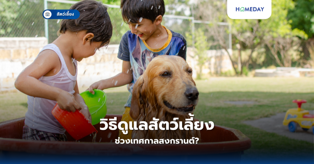 วิธีดูแลสัตว์เลี้ยงช่วงเทศกาลสงกรานต์?