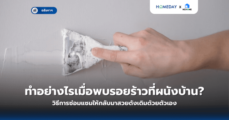 ทำอย่างไรเมื่อพบรอยร้าวที่ผนังบ้าน? วิธีการซ่อมแซมให้กลับมาสวยดังเดิมด้วยตัวเอง