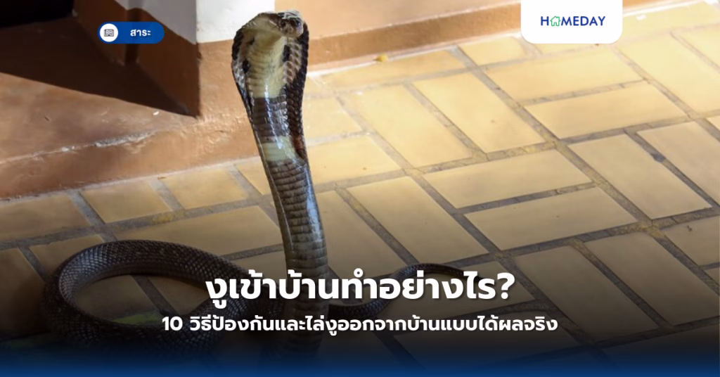 การทำบุญขึ้นบ้านใหม่มีขั้นตอนอย่างไร? เคล็ดลับและสิ่งที่ต้องเตรียมให้พร้อมในปี 2568 (copy)