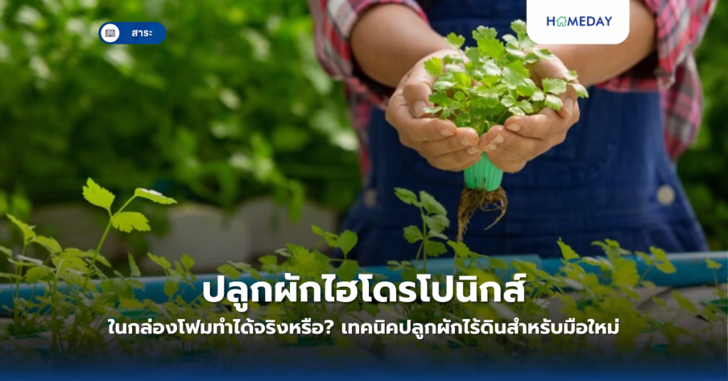 วิธีทำความสะอาดโซฟาผ้าอย่างไรให้กลับมาสะอาดเหมือนใหม่? (copy)