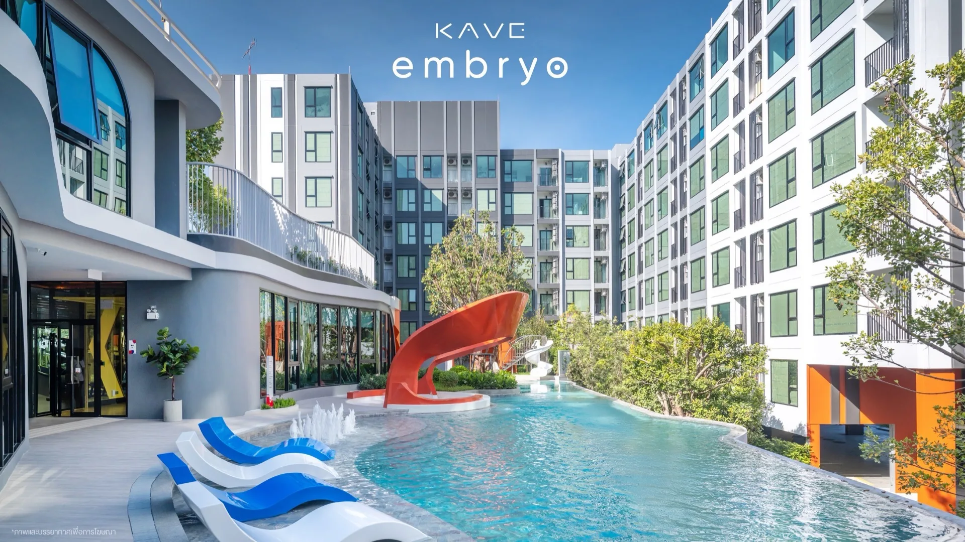 05.kave Embryo