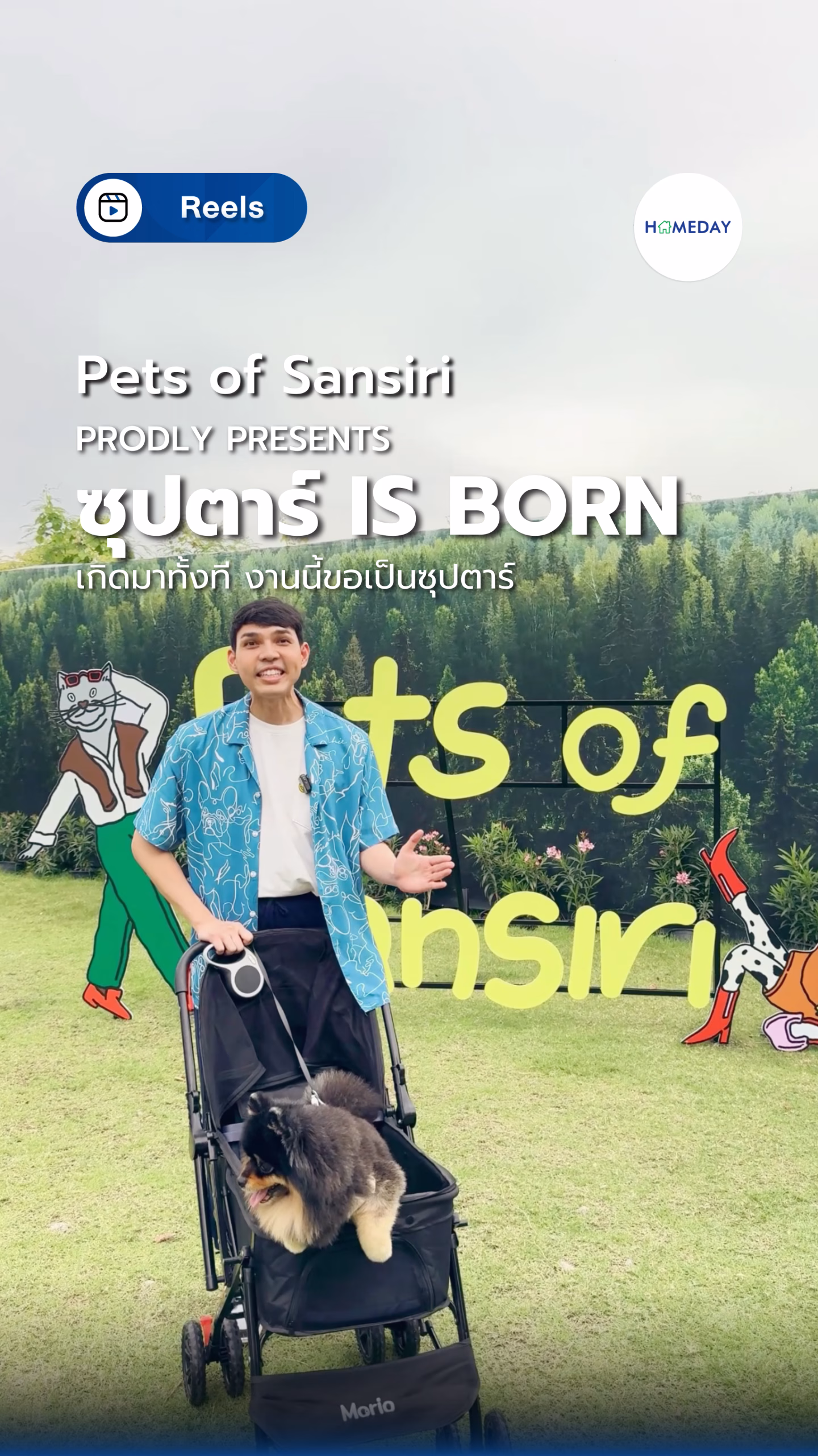 Homeday Vibe ดีดีย์ที่ ‘pets Of Sansiri Proudly Presents ซุปตาร์ Is Born’