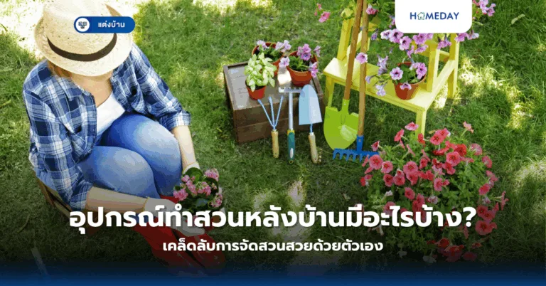 อุปกรณ์ทำสวนหลังบ้านมีอะไรบ้าง? เคล็ดลับการจัดสวนสวยด้วยตัวเอง