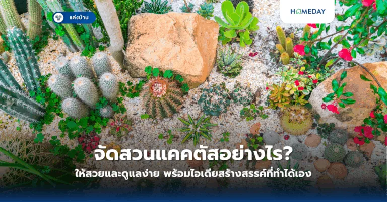 อุปกรณ์ทำสวนหลังบ้านมีอะไรบ้าง? เคล็ดลับการจัดสวนสวยด้วยตัวเอง (copy)