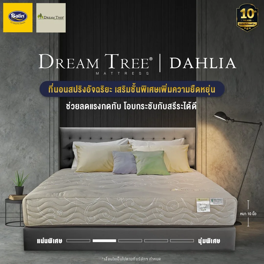 Satin Dream Tree Dahlia