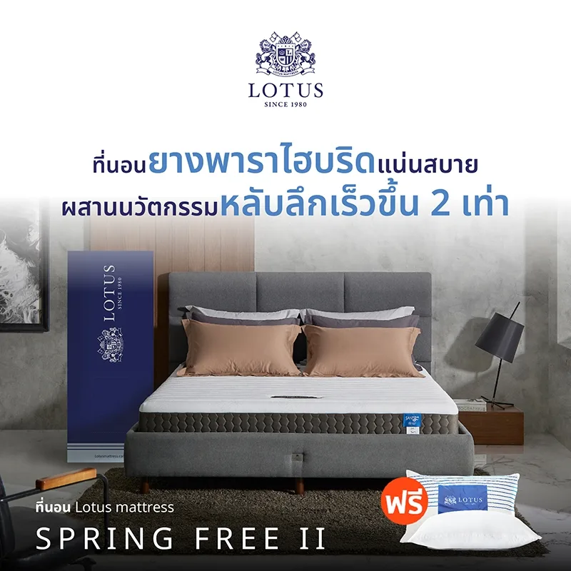 ที่นอน Lotus รุ่น Spring Free Ii