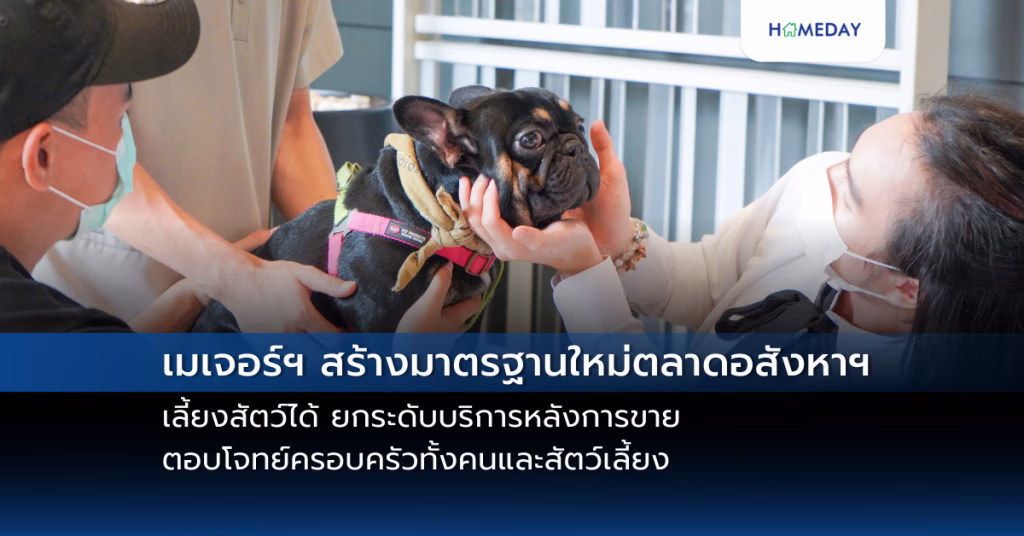 Rml รายงานผลประกอบการ Q1/68 พร้อมลุยต่อกลยุทธ์ Transformation Roadmap ตั้งเป้า Turnaround ในปีนี้ (copy)