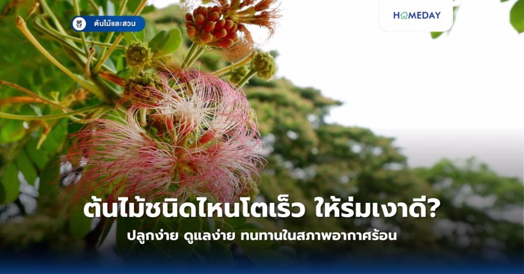 จะปรับลุคบ้านให้สวยและน่าอยู่ได้อย่างไร? 5 ไอเดียที่ทำได้ง่ายแต่เปลี่ยนบ้านได้อย่างน่าทึ่ง (copy)