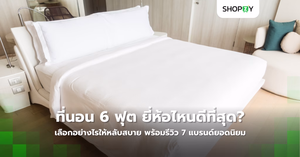 ที่นอน 6 ฟุต ยี่ห้อไหนดีที่สุด? เลือกอย่างไรให้หลับสบาย ไม่ปวดหลัง พร้อมรีวิว 7 แบรนด์ยอดนิยม