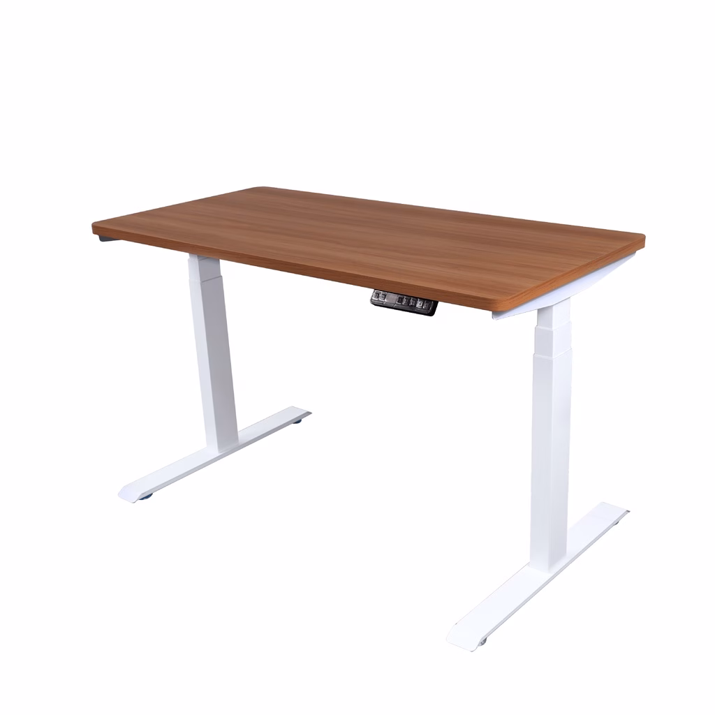 Bewell Ergonomic Desk Single Motor