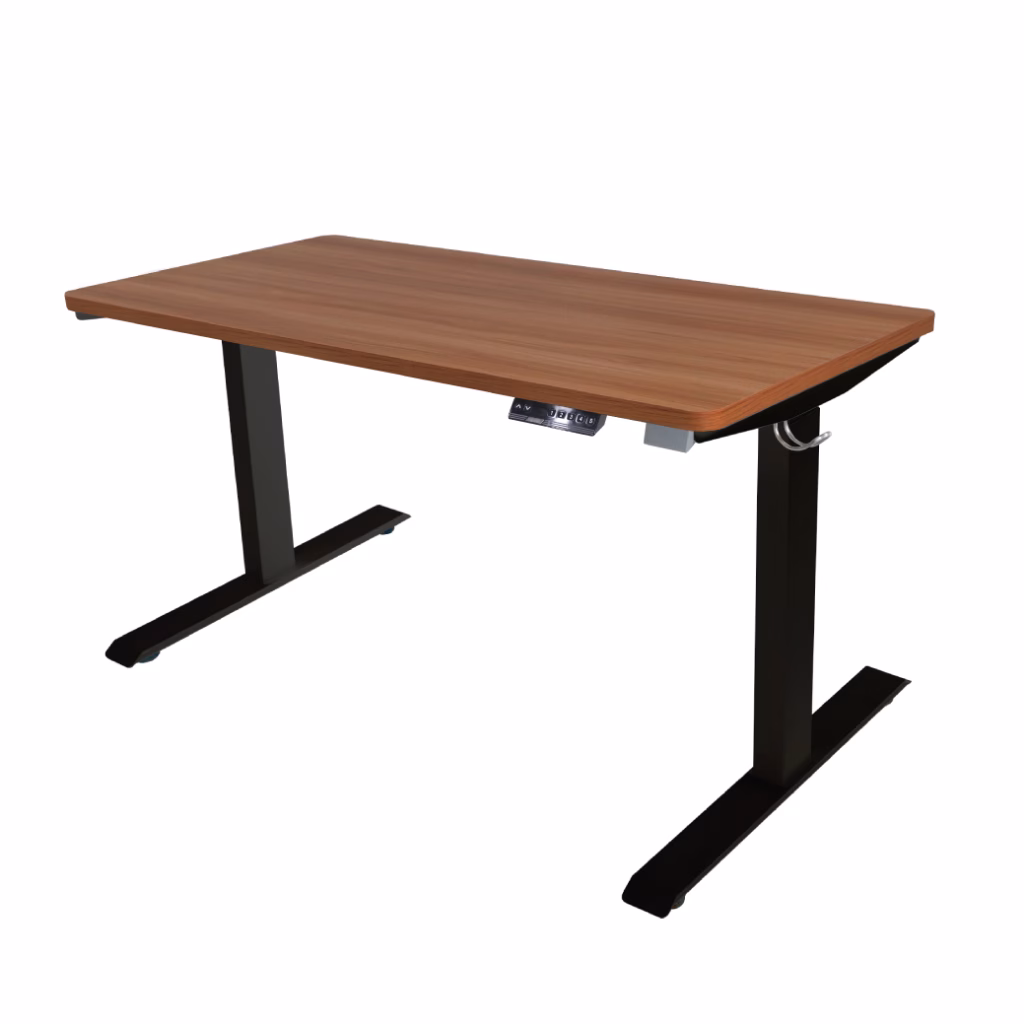 Bewell Ergonomic Desk Single Motor