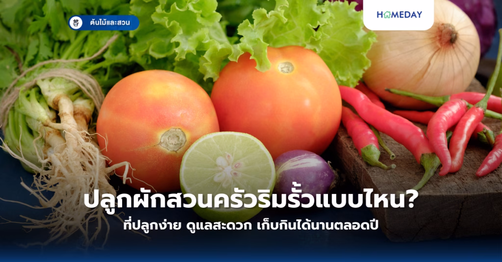 ปลูกผักสวนครัวริมรั้วแบบไหนที่ปลูกง่าย ดูแลสะดวก เก็บกินได้นานตลอดปี?