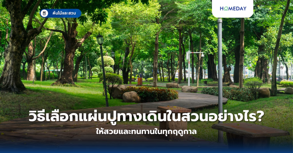 อะไรคือผักที่ปลูกได้ดีแม้อากาศร้อน? 10 ชนิดผักทนแดดที่เหมาะปลูกหน้าร้อน (copy)