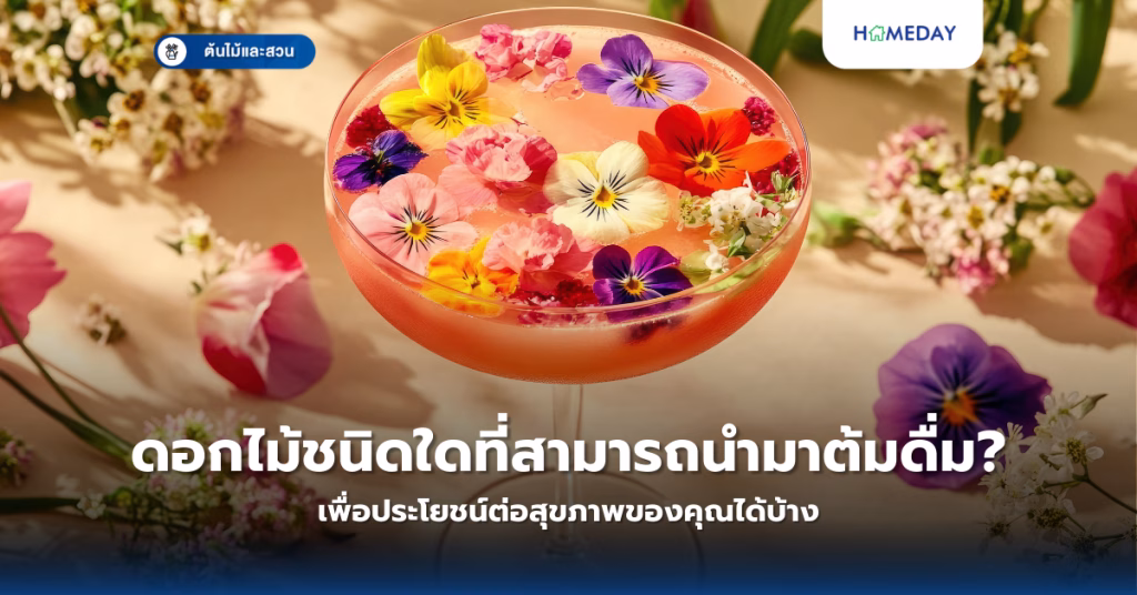 กุหลาบหินมีประโยชน์อย่างไร? จัดวางอย่างไรเสริมโชคลาภการเงิน และดูแลอย่างไรให้เติบโตสวยงาม (copy)