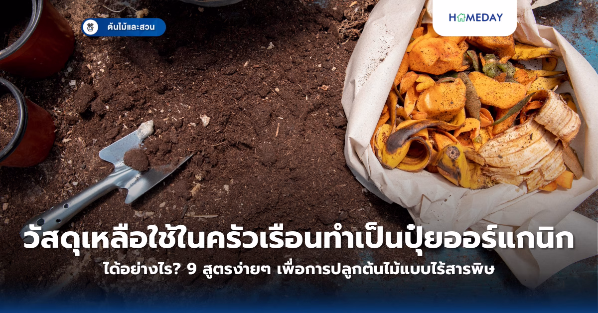 การปลูกบัวในบ้านให้สวยงาม ทำได้ง่ายจริงหรือ? (copy)