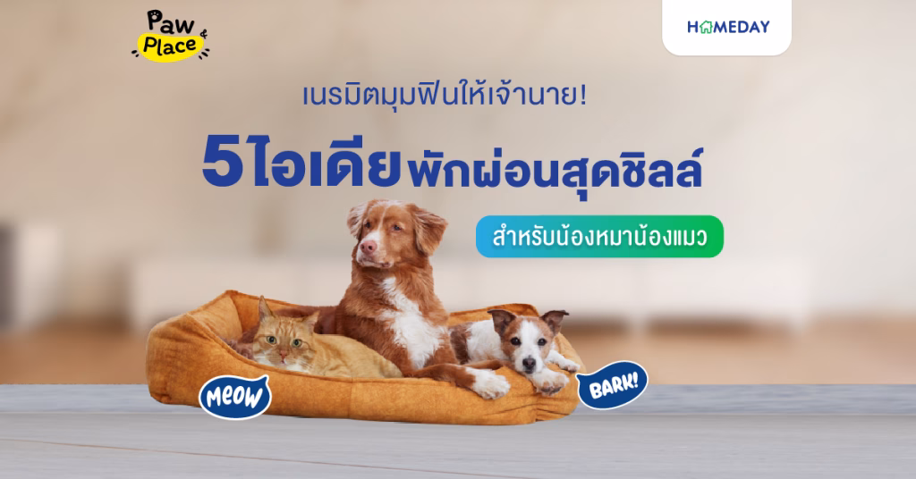 เนรมิตมุมฟินให้เจ้านายสี่ขา: 5 ไอเดียพักผ่อนสุดชิลล์ในบ้านคุณ