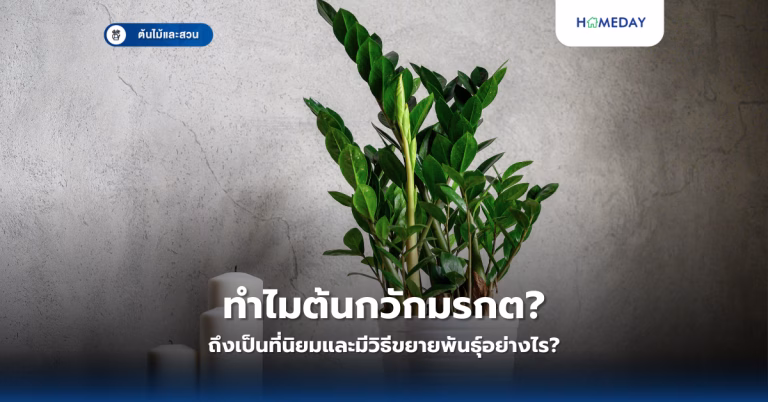 ศาลาในสวนช่วยแก้ปัญหาอะไรบ้าง และควรเลือกแบบไหนให้เหมาะสมที่สุด? (copy)