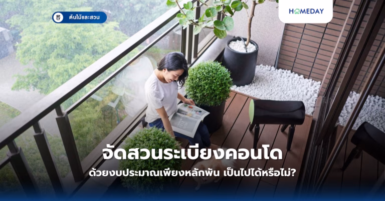 วิธีปลูกผักพื้นที่น้อยจากเศษผักเหลือใช้ทำอย่างไร? เทคนิคง่ายๆ ที่คนอยู่หอพลาดไม่ได้ (copy)