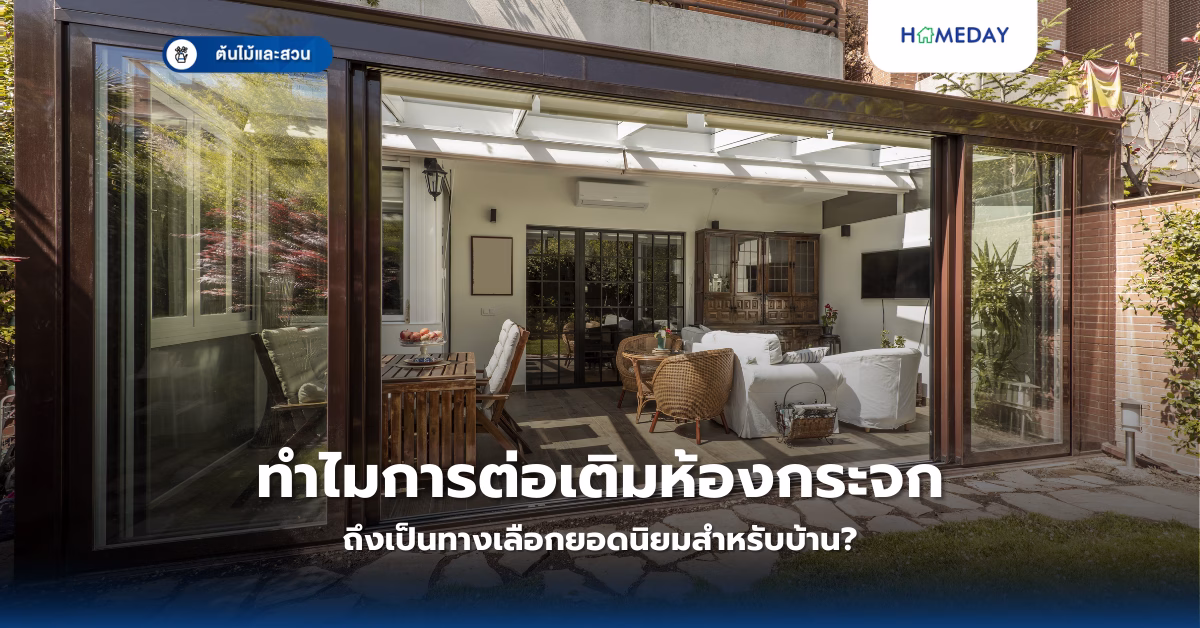 จะปลูกมะเขือให้ได้ผลดีที่บ้านทำอย่างไร? คู่มือครบครันสำหรับผักสวนครัวยอดนิยม (copy)