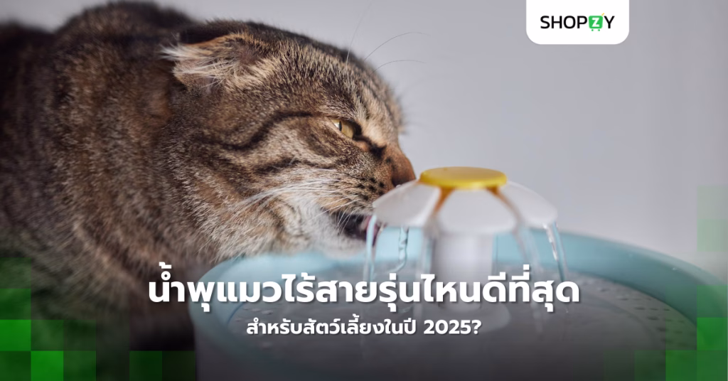 น้ำพุแมวไร้สายรุ่นไหนดีที่สุดสำหรับสัตว์เลี้ยงในปี 2025?