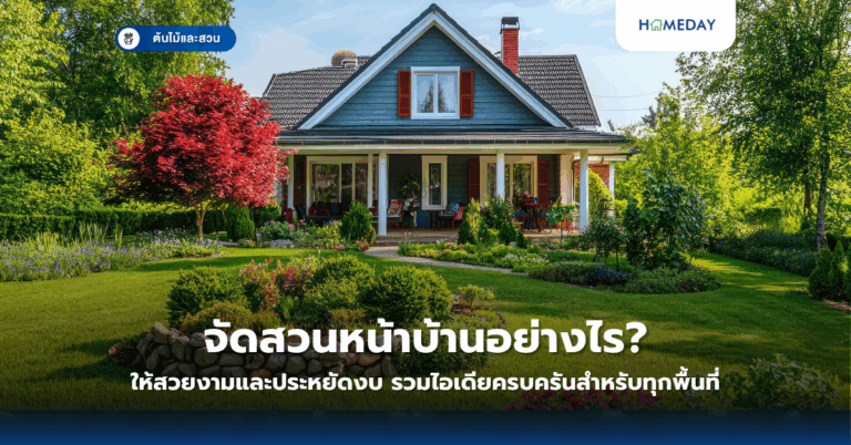 จัดสวนหน้าบ้านอย่างไรให้สวยงามและประหยัดงบ? รวมไอเดียครบครันสำหรับทุกพื้นที่