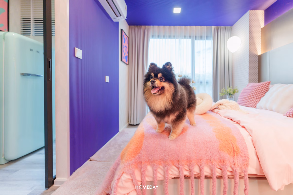 Pet Friendly Kave Playground ลาดพร้าว บดินทรเดชา ชมพู่+จิล 14