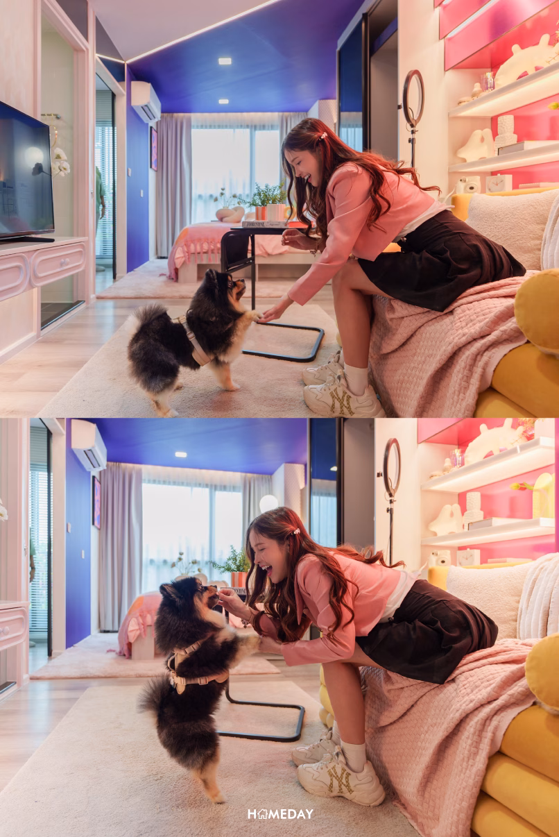 Pet Friendly Kave Playground ลาดพร้าว บดินทรเดชา ชมพู่+จิล 16