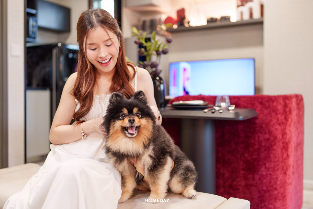 Pet Friendly Kave Playground ลาดพร้าว บดินทรเดชา ชมพู่+จิล 48